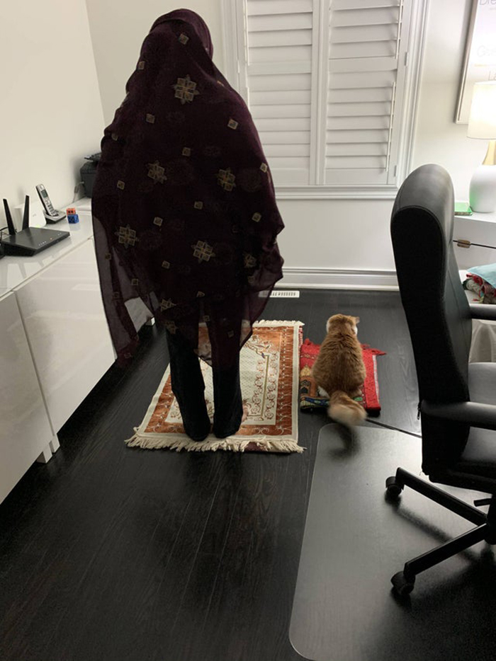 wholesome cat posts cat accompanying a woman while praying