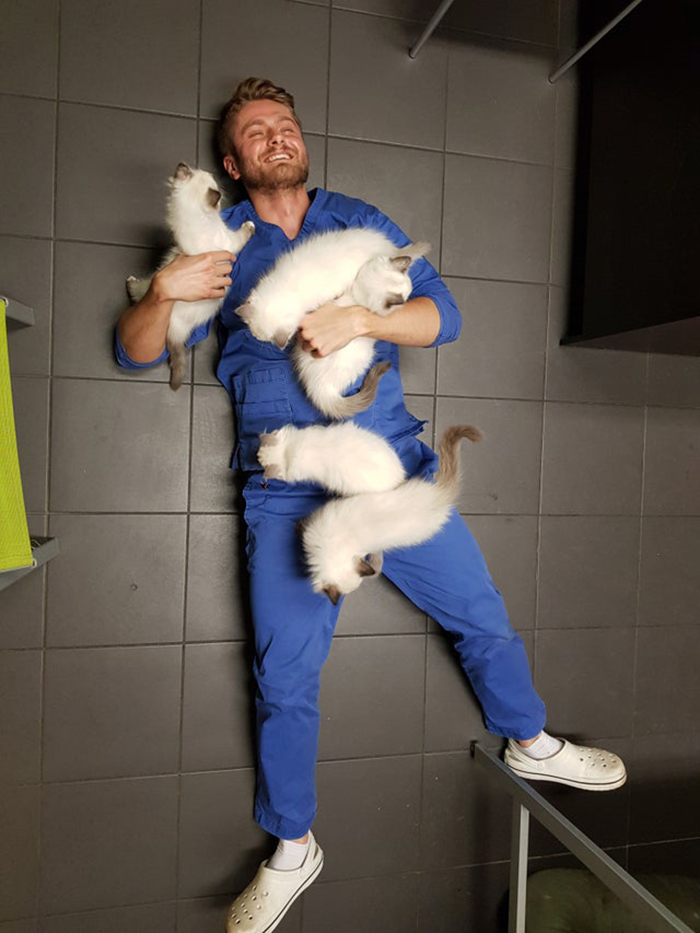 wholesome cat posts vet lying on floor with five cats