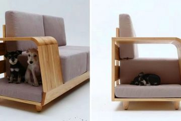 Dog Bed couch