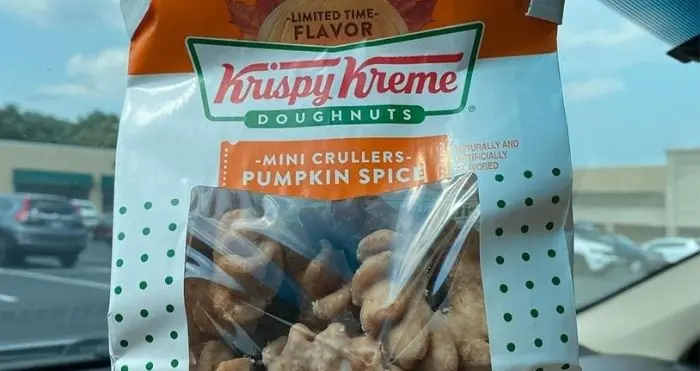 Mini Pumpkin Spice Donuts
