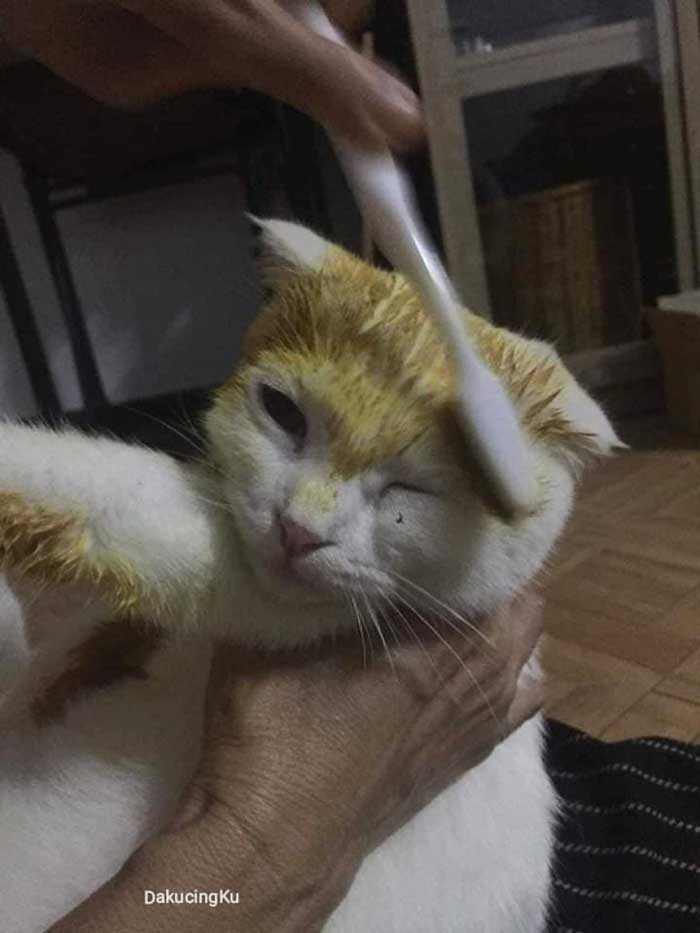 Thammapa's mother paints Ka-Pwong with a turmeric mixture using a toothbrush