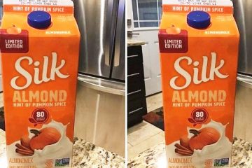 almond pumpkin spice milk