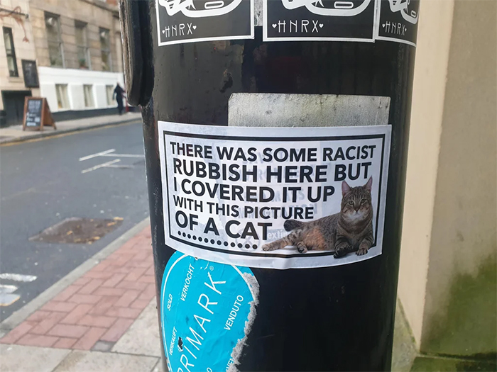 cat poster covers racist rubbish