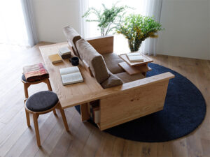 You Can Get A Couch, Table And Bookshelf All-In-One