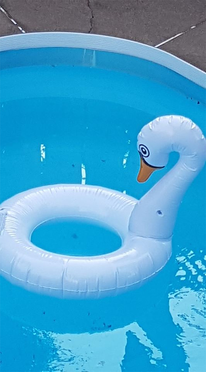 crappy designs swan pool float