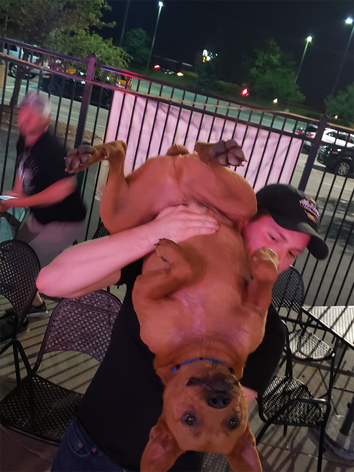 dog at the bar carried upside down