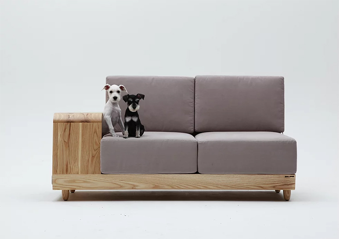 dog house couch pet-friendly furniture