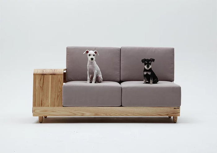 dog house couch