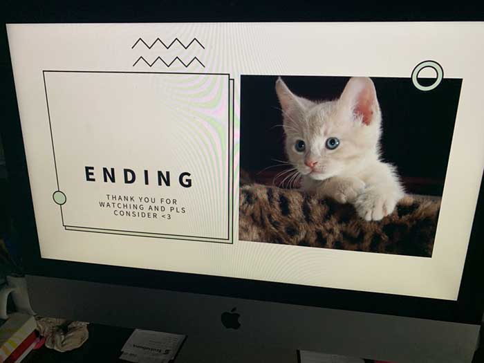 end slide of the pro-pet powerpoint presentation