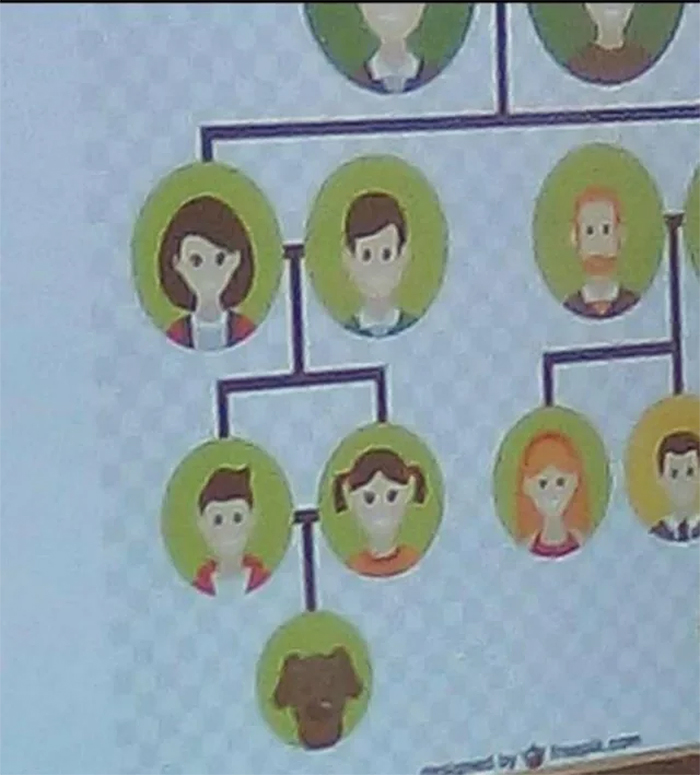 family tree with a dog
