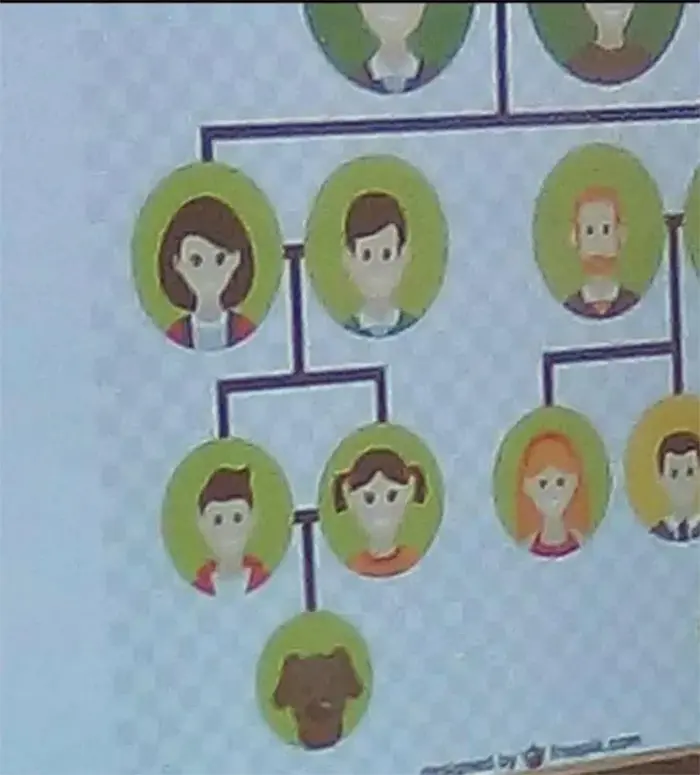 family tree with a dog