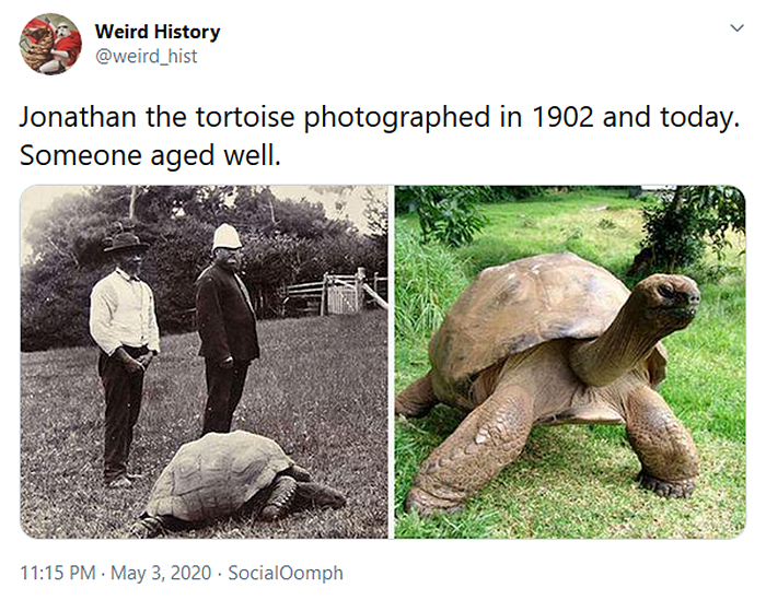 interesting historical facts jonathan the tortoise