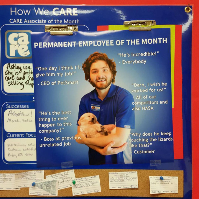 permanent employee of the month