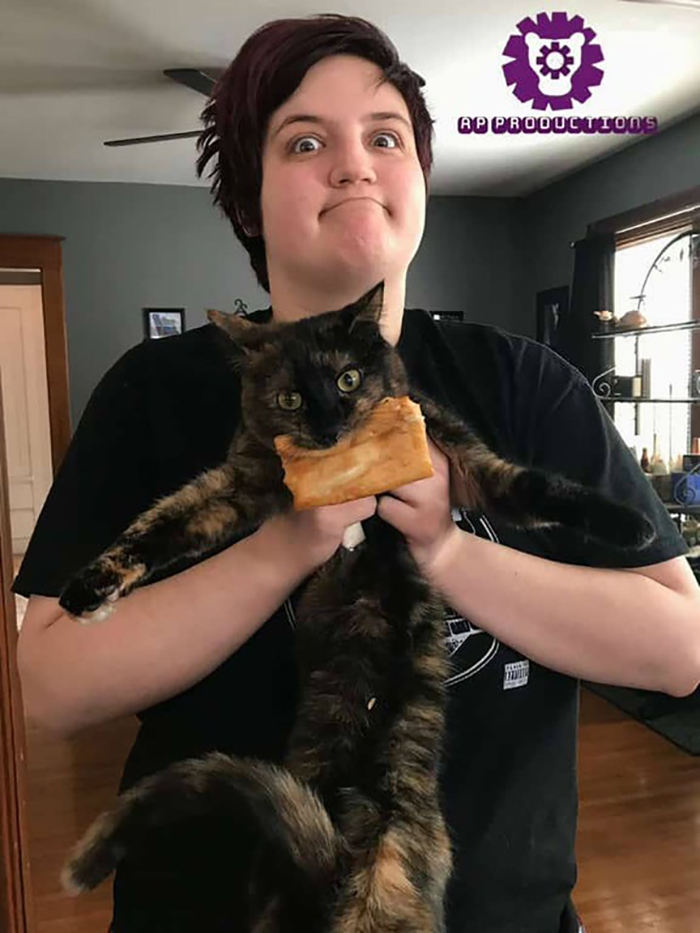 pet cat caught stealing food from toaster