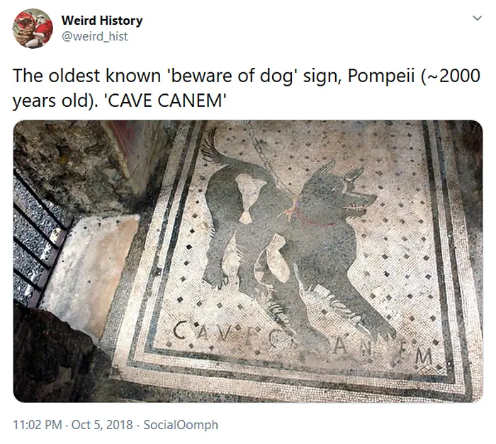 pompeii oldest beware of dog sign