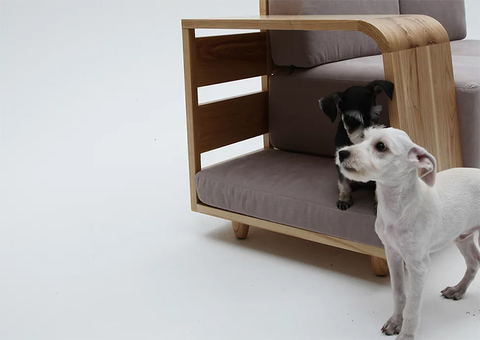 sofa and pet house in one