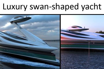 swan shaped yacht