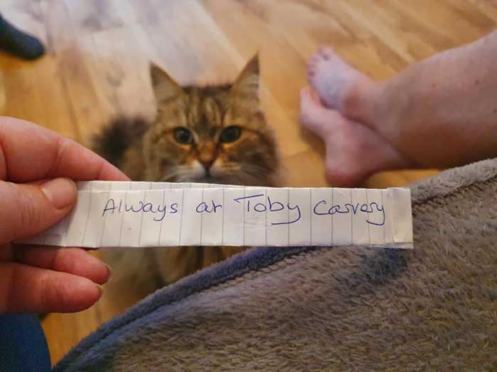 the note exposed the secret life of Tula the Siberian Cat