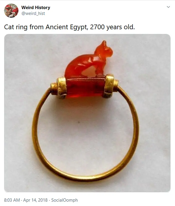 weird history ancient cat ring