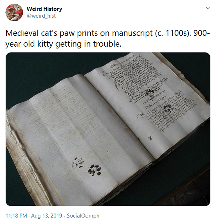 weird history cat paw prints on medieval manuscript