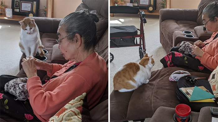 wholesome pics grandma fixes cat toy