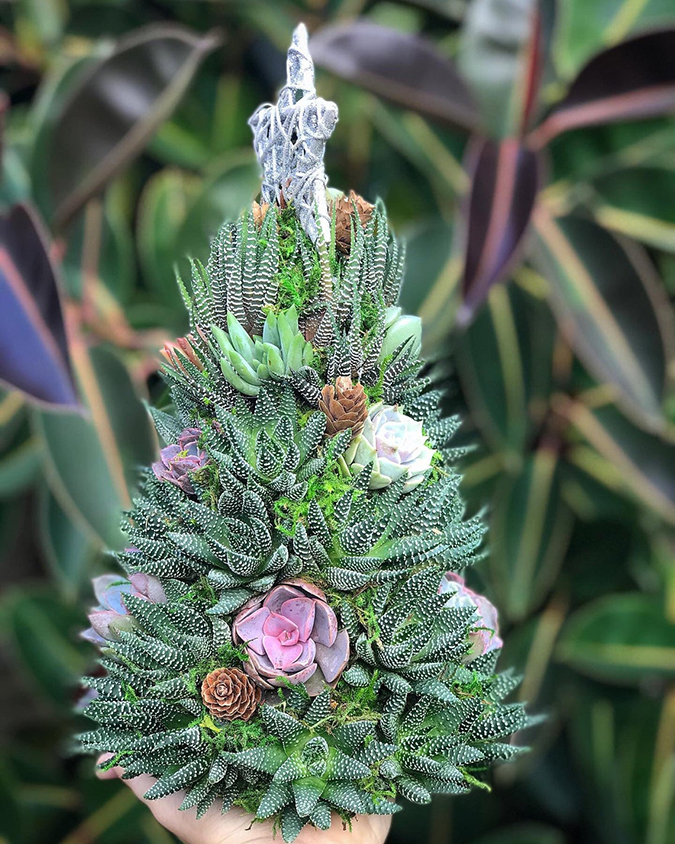 Alpine Succulent Christmas Tree