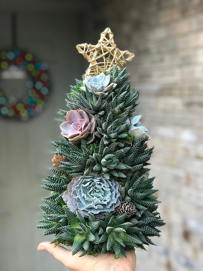 Alpine Tree adorned with haworthias echeverias and pinecones