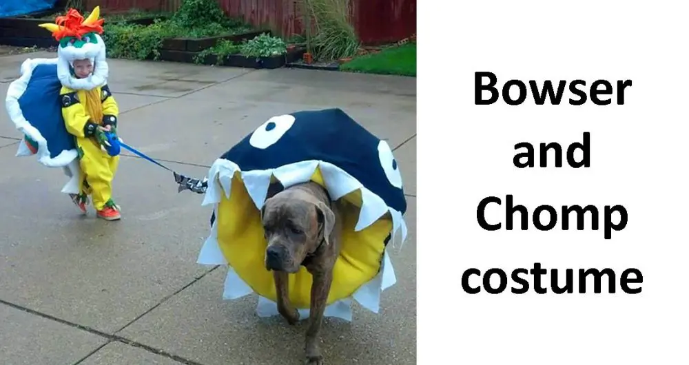Dog Halloween Costume Ideas