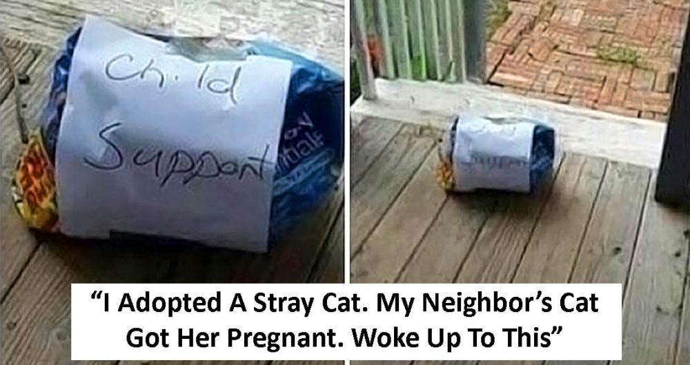 Funny neighbors