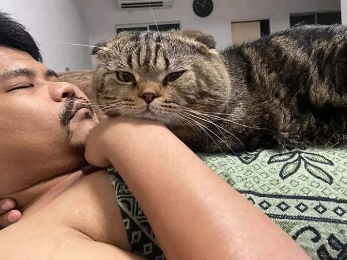 Jarvis catches Nasrin taking his photo while he lays on top of his napping fur-dad's chest