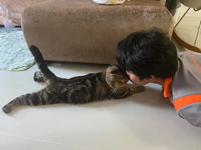 Jarvis gets a forehead kiss from his fur-dad