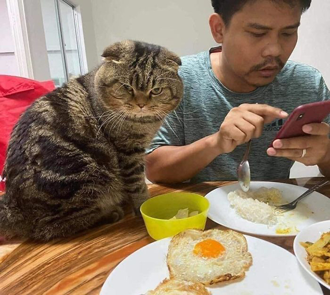Jarvis glares at Nasrin at breakfast