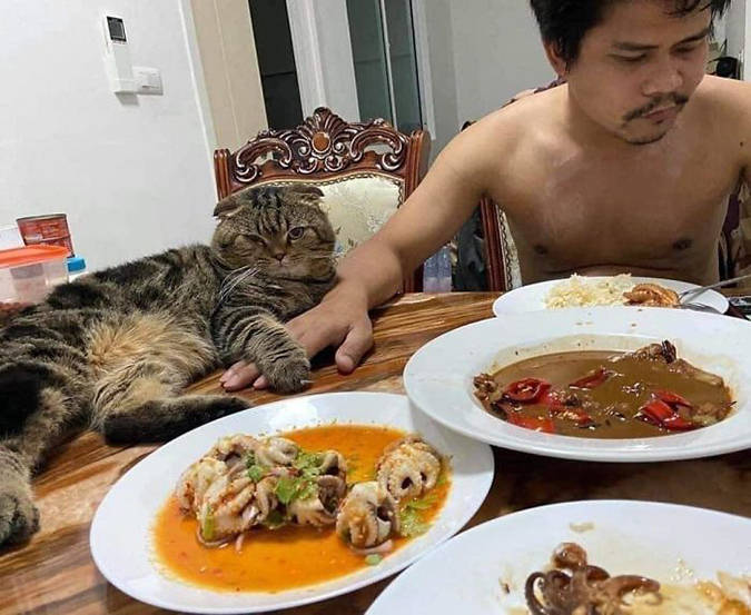 Jarvis holds his fur-dad's hand while laying ont he dining table