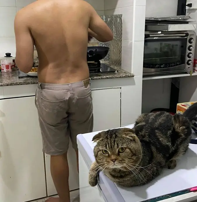 Jarvis stares at Nasrin as his dad cooks