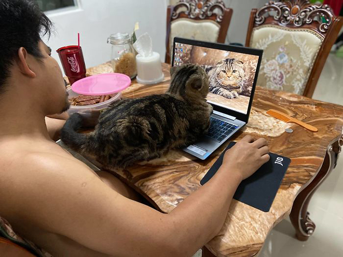 Jarvis the cat admires his picture on his fur-dad's laptop