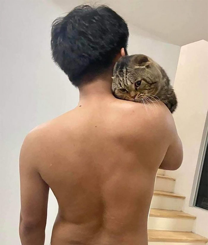 Jarvis the cat being embraced by his fur-dad
