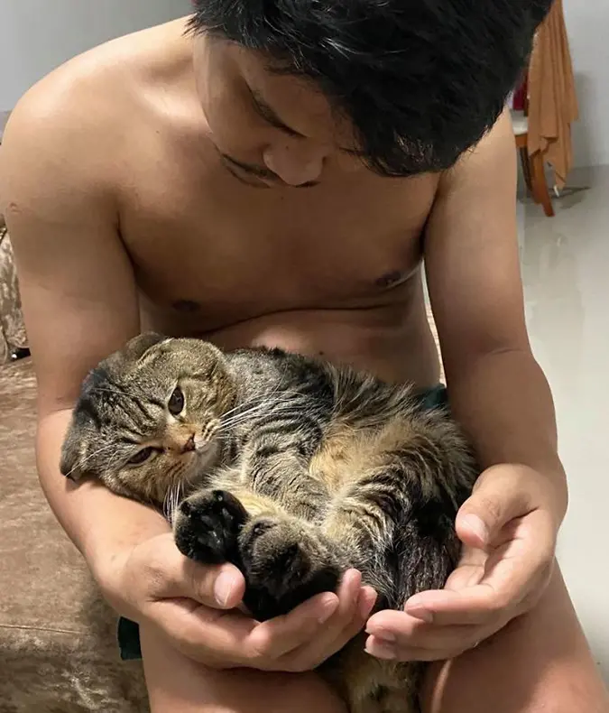 Jarvis the cat lays on his fur-dad's lap