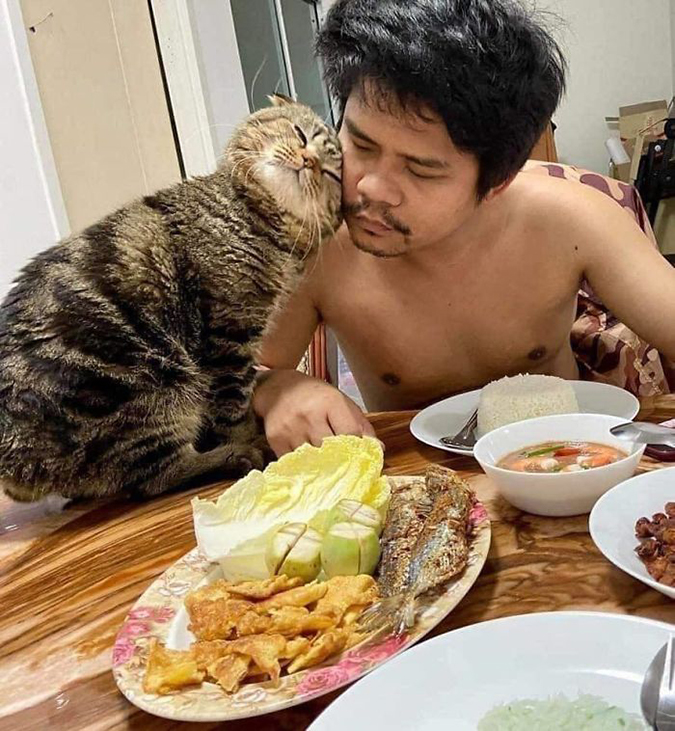 Jarvis the cat nuzzles his fur-dad's face