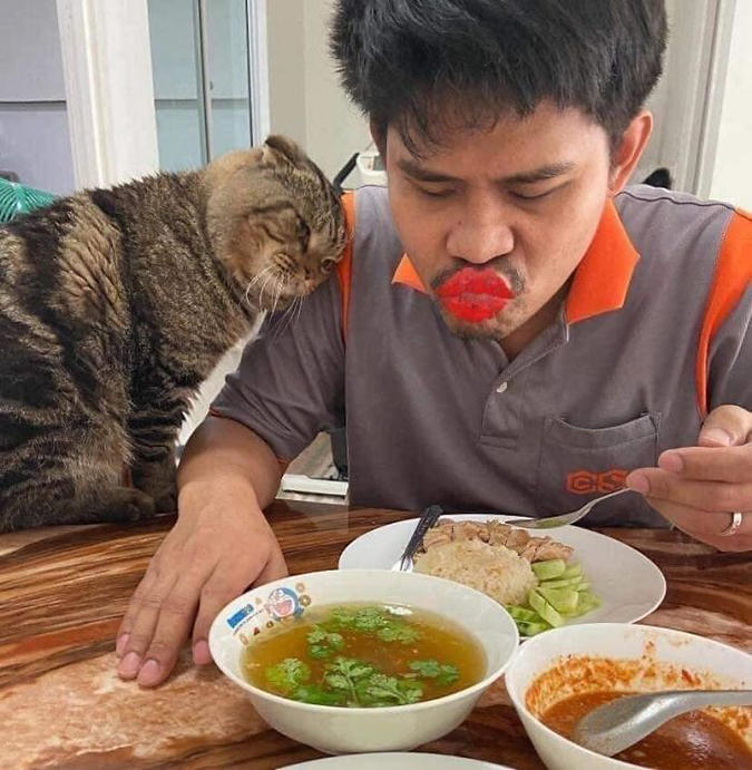 Jarvis the cat watches on with complete adoration as his father eats away