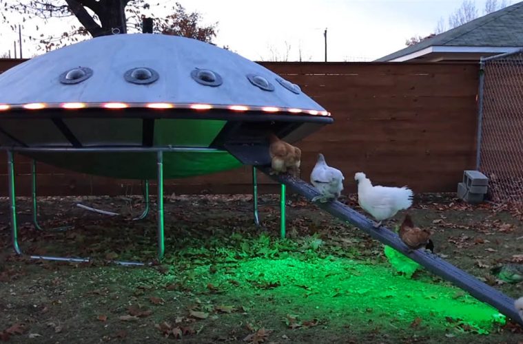 UFO Chicken coop