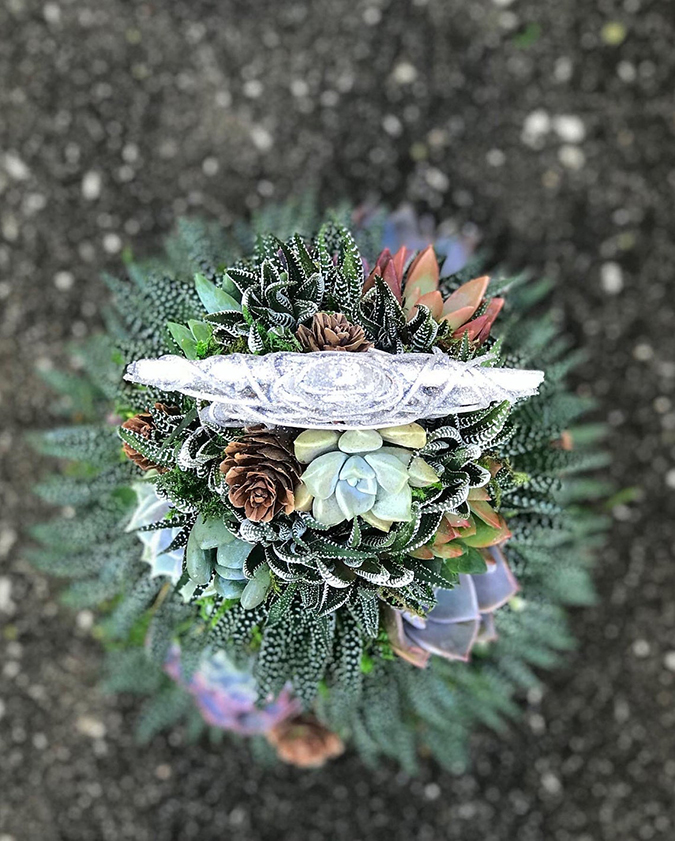 birds eyeview of alpine succulent christmas tree