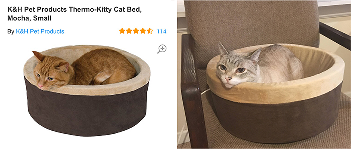 cat bed comparison better than expected