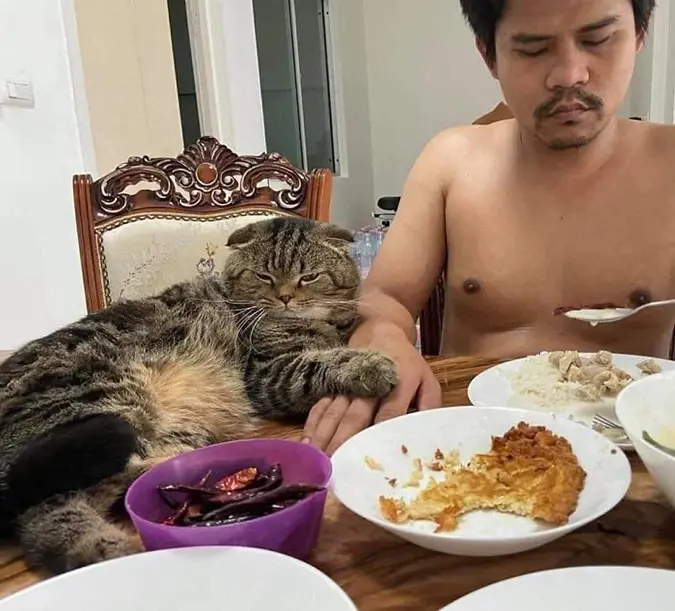 cat holds on to his dad's hand