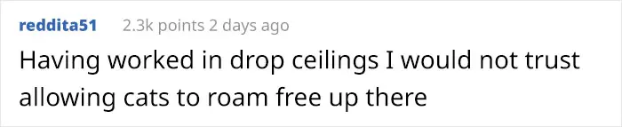 ceiling cats comment reddita51