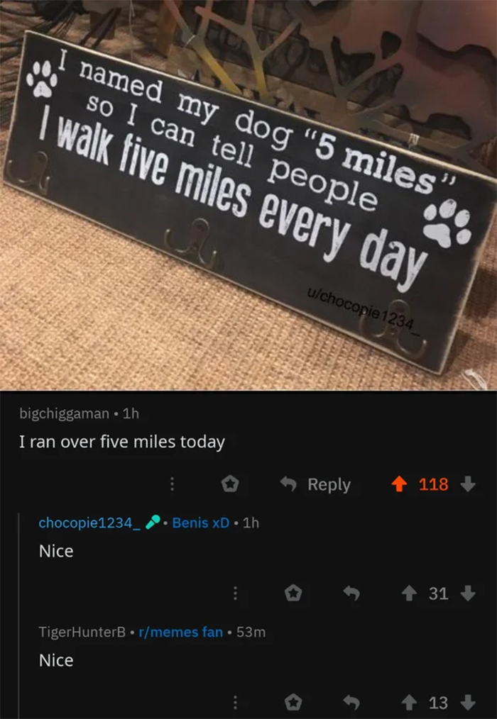 cursed comments five miles dog name