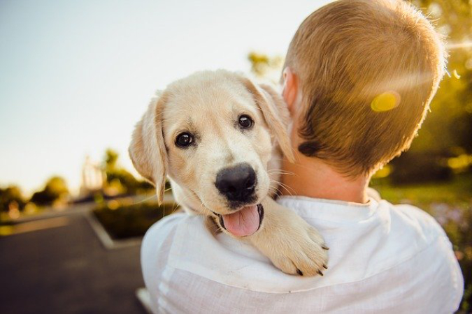 dog heart rates leap when they hear their owners say i love you