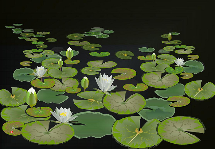 excel spreadsheet paintings water lily