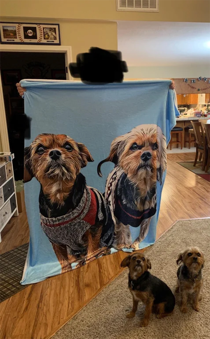 expectation vs reality blanket pet print