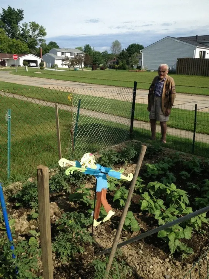 funny neighbours scarecrow zombie