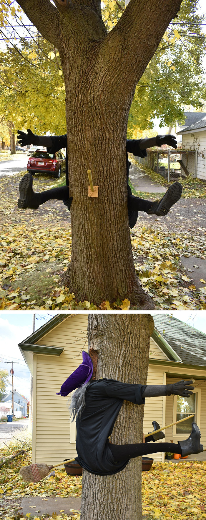 funny spooky outdoor display witch tree